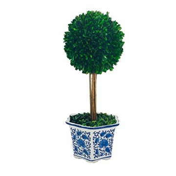Galt International Preserved Boxwood Topiary Tree in Ceramic Pot Plant and Table Centerpiece Stunning Greenery and Plant Decor for Home Blue & White Ceramic Pot 8" Diameter Topiary 19" Tall