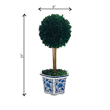 Galt International Preserved Boxwood Topiary Tree in Ceramic Pot Plant and Table Centerpiece Stunning Greenery and Plant Decor for Home Blue & White Ceramic Pot 8" Diameter Topiary 19" Tall