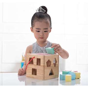 Babe Rock Shape Color Sorter Toddler Toy - Wooden Toddler Toy Color Recognition Shape Sorting Cube Lid for Toddlers Learning Sort and Match Toys for 3 Years Old Boys Girls