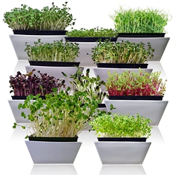Survival Garden Microgreens 10 Pack Seeds for Easy Growing