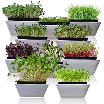 Survival Garden Microgreens 10 Pack Seeds for Easy Growing