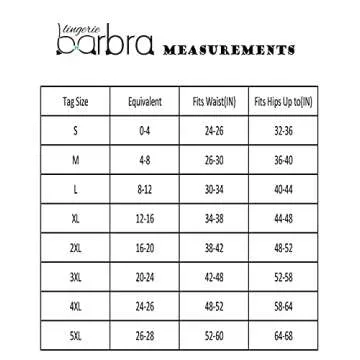 Barbra Lingerie Womens Silky Sexy Satin Bikini Panties S - Plus Size Women Underwear Multi-Pack (XL) 4 Pack- Grape