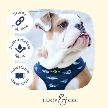 Stylish Reversible Dog Harness for All Breeds and Sizes
