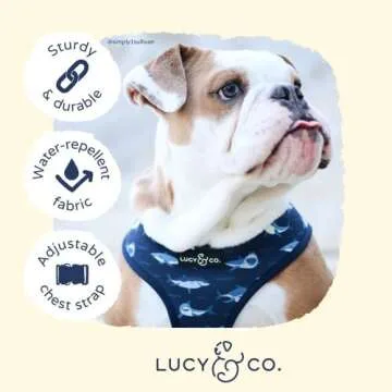 Stylish Reversible Dog Harness for All Breeds and Sizes