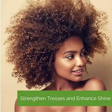 GIOVANNI 2chic Leave-In Spray for Hair Protection and Moisture