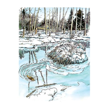 National Parks Coloring Book for Nature Lovers and Artists