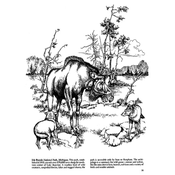 National Parks Coloring Book for Nature Lovers and Artists