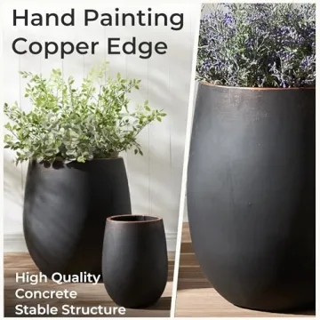 Wallowa Large Round Concrete Planter Set with Drainage Holes