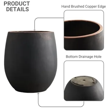 Wallowa Large Round Concrete Planter Set with Drainage Holes