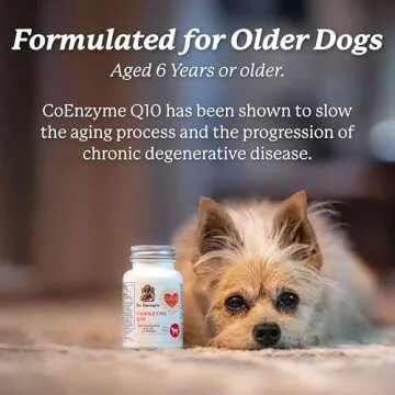 Dr. Harvey's Coenzyme Q10 Supplements for Senior Dogs
