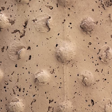 Creative Co-Op Rustic Hobnail Planter for Stylish Decor