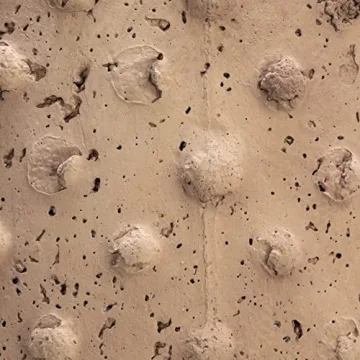 Creative Co-Op Rustic Hobnail Planter for Stylish Decor