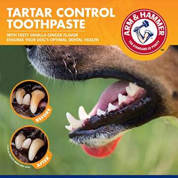 Arm & Hammer for Pets Clinical Care Travel Dental Kit for Dogs in Vanilla Ginger Flavor | Dog Toothbrush and Toothpaste Set Safe for All Dogs | All In One Solution To Dog Teeth Cleaning
