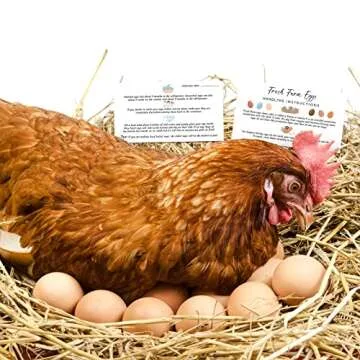 Sinmoe 200 Pcs Egg Handling Instructions for Fresh Eggs