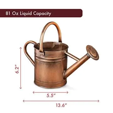 Stylish Copper Metal Watering Can for Indoor Plants