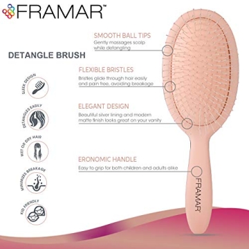 Framar Detangling Brush for Curly Thick Hair – Pain-Free