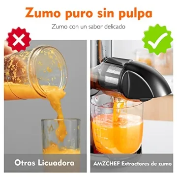 AMZCHEF Masticating Juicer for Nutritious Cold Press Juice