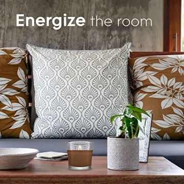 Glade Cashmere Woods Scented Candle Jar, 3.4 Oz - Aroma Bliss