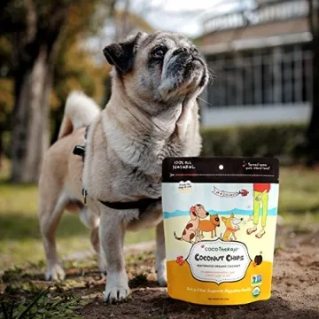 Cocotherapy Coconut Chips: Organic Snack for Pets 6 Oz