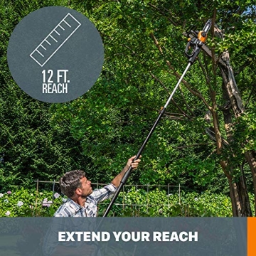 Worx WG323 20V Cordless Pole Chain Saw Auto-Tension