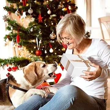 LIFELUM Large Elegant Gift Box for Every Occasion