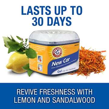ARM & HAMMER Gel Air Freshener for New Car Smell