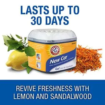 ARM & HAMMER Gel Air Freshener for New Car Smell