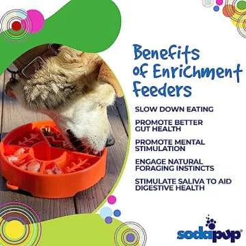 SodaPup Great Outdoors Enrichment Bowl – Durable Slow Feeder Bowl Made in USA from Non-Toxic, Pet-Safe, Food Safe Material for Mental Stimulation, Slowing Down Eating, Healthy Digestion, & More