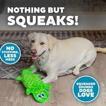 Outward Hound Durablez Tough Plush Squeaky Dog Toy, Gecko, Green, Large