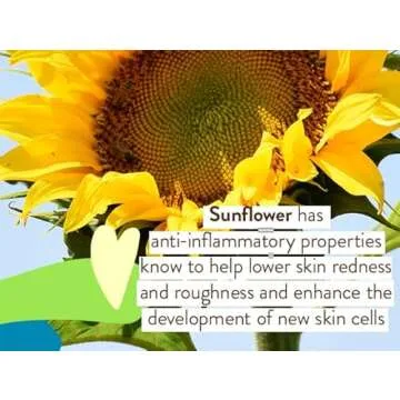 Babo Botanicals Sheer Zinc Continuous Sunscreen Spray SPF30 - Natural Zinc Oxide - Extra Sensitive Skin - Water Resistant - Vegan - Fragrance-Free - Air-Powered Spray - For all ages - 2-Pack