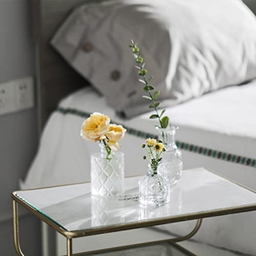 Glass Bud Vases Set of 12 for Rustic Home Wedding Decor