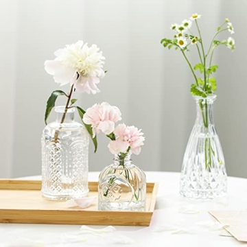 Glass Bud Vases Set of 12 for Rustic Home Wedding Decor