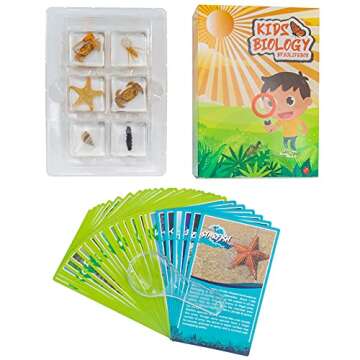 6 PCS Marine Life Specimen Set,Hermit Crab,Fiddler Crab,Starfish,Nassariidae,Sea Cucumber, Chiromantes Dehaani Resin Collection Science Toys