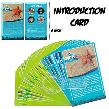 6 PCS Marine Life Specimen Set,Hermit Crab,Fiddler Crab,Starfish,Nassariidae,Sea Cucumber, Chiromantes Dehaani Resin Collection Science Toys