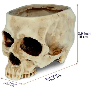 READAEER Skull Bowl Resin Planter Halloween Decor Candy Dish