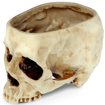 READAEER Skull Bowl Resin Planter Halloween Decor Candy Dish
