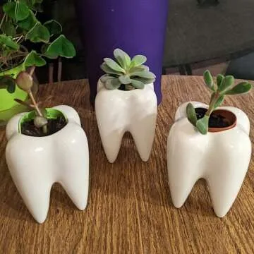 Teeth Pots: Organize Your Dental Care Easily