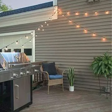 Mr Beams 5W G40 Bulb Incandescent Weatherproof Indoor/Outdoor String Lights, 100 ft, Black, Feet