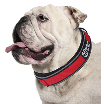 Bulldog Grade Breakaway Collar for Bulldogs - Safe & Comfortable
