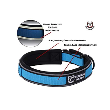 Bulldog Grade Breakaway Collar for Bulldogs - Safe & Comfortable