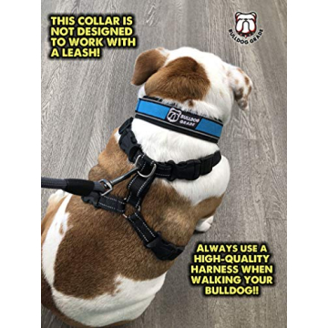 Bulldog Grade Breakaway Collar for Bulldogs - Safe & Comfortable