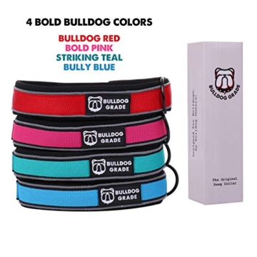 Bulldog Grade Breakaway Collar for Bulldogs - Safe & Comfortable