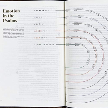 CSB He Reads Truth Bible for Men - Study, Notes & Insights