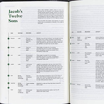 CSB He Reads Truth Bible for Men - Study, Notes & Insights