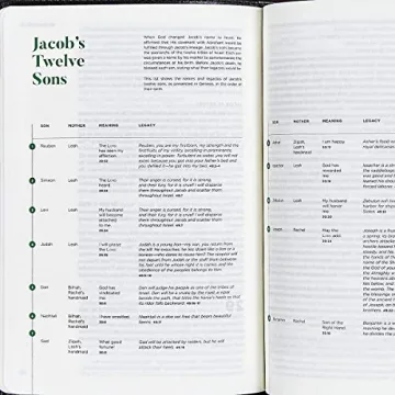 CSB He Reads Truth Bible for Men - Study, Notes & Insights