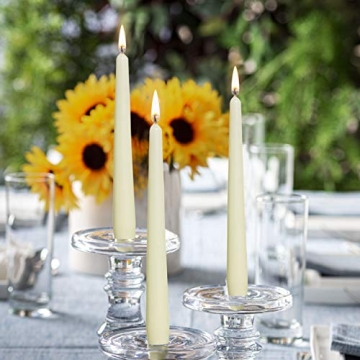BOLSIUS Ivory Taper Candles - Premium Dripless 12 Pack