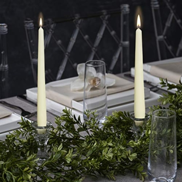 BOLSIUS Ivory Taper Candles - Premium Dripless 12 Pack