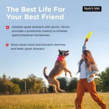 Nutri-Vet Anti-Diarrhea Liquid for Dogs - Helps Sooth Dogs Upset Stomach & Stop Diarrhea - Veterinarian Formulated - 4 oz