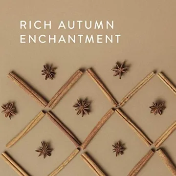 Thymes Simmered Cider Candle - Cozy Fall Fragrance