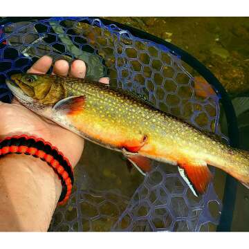 Aventik Fly Floating Fishing Net with Magnetic Release